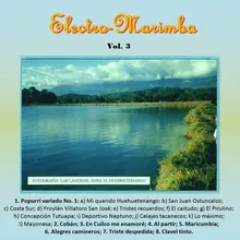 Popurrí Variado 1: Mi Querido Huehuetenango / San Juan Ostuncalco / Costa Sur / Froylan Villatoro San José / Tristes Recuerdos / El Caitudo / El Pirulino / Concepción Tutuapa / Deportivo Neptuno