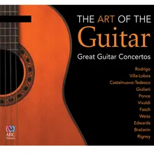Concerto in D Minor for Guitar and String Orchestra: 2. Allegro