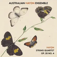 String Quartet in D Major, Hob.III:34, Op.20 No.4: 3. Menuet alla zingarese