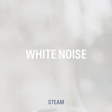 White Noise Steam 2