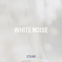 White Noise Steam 19