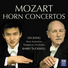 Horn Concerto No.2 in E flat, K.417: 2. Andante