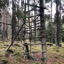 Old Hunting Hide Covered in Moss