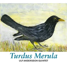 Turdus Merula