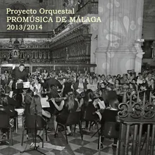 Concerto Grosso in B Minor, Op. 6, No. 12, HWV 330 : I. Largo