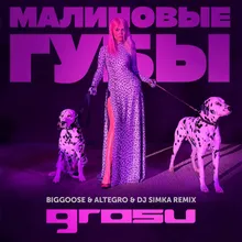 Малиновые губы Biggoose & Altegro & DJ SIMKA Remix