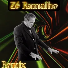 Admirável Gado Novo Remix