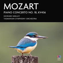 Piano Concerto No. 18 in B-Flat Major, K. 456: 2. Andante un poco sostenuto