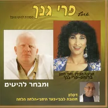 סינדרלה