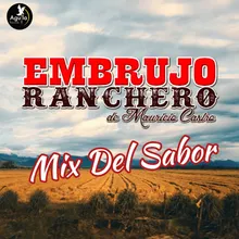 Mix del Sabor: El Grillo/El Burro Moro/Rueditas de Amor/Vana Vanita Vanessa