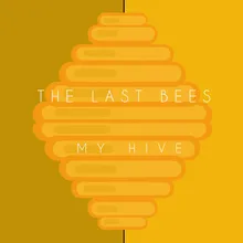 My Hive