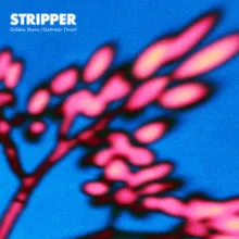 Stripper