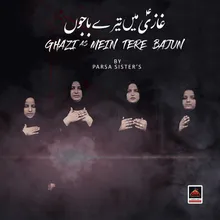 Mein Tere Nal Turan Gi Bibi Zainab Sa