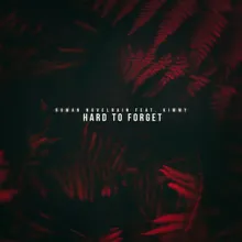 Hard to Forget Extended Mix