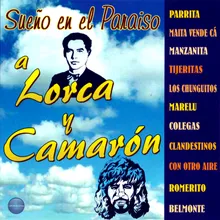 Camarón: Duende, Compas y Cante