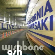 Way Down South Live in California