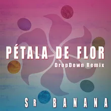 Pétala de Flor Dropdown Remix Extended Mix