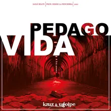 Pedagovida