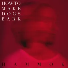 How to Make Dogs Bark