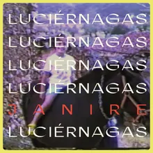 Luciérnagas