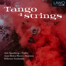 La Partida (Arr. for string orchestra by Sverre Indris Joner)