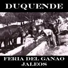 Feria del Ganao (Jaleos)