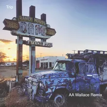 Trip AA Wallace Remix