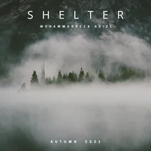 Shelter