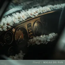 Migas de Pan