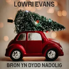 Bron Yn Dydd Nadolig