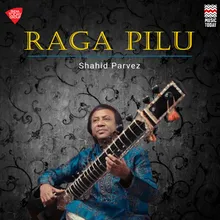 Raga Pilu - Taal Dadra