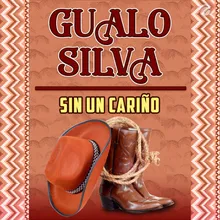 Sin un Cariño