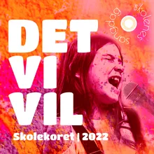 Det vi vil Instrumental