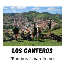 "Bambora" Mardito Boi