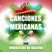 Música Mejicana: Llorona / Sin Problemas / Tú, Solo Tú / No Volveré
