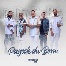 Pagode do Bom / Pra Cair No Samba Ao Vivo