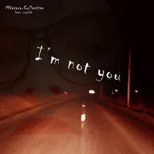 I'm Not You Radio Edit