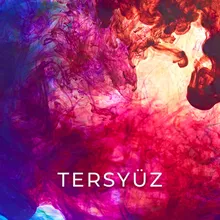 Tersyüz