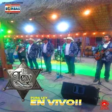 Chiquilla Cariñosa En Vivo