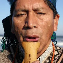 Inchin Ta Mapuche