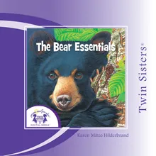 The Bear Essentials Intro