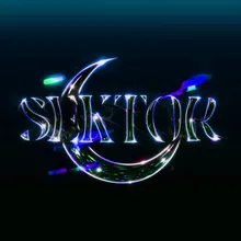 Sektor