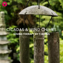 Cicadas & Wind Chimes 19