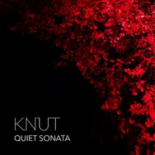 Quiet Sonata