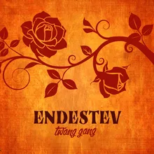 Endestev