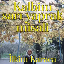 Kalbim Sarı Yaprak Misali