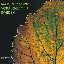 Kvällen stundar Arr. for Choir by Mats Nilsson