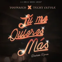 Tú Me Quieres Más Bachata Remix