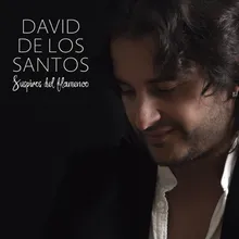 Suspiros del Flamenco (Tangos)