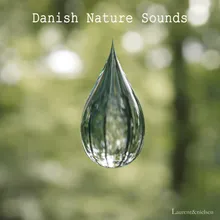 Stream nature sound (Vester Mølle, Denmark)